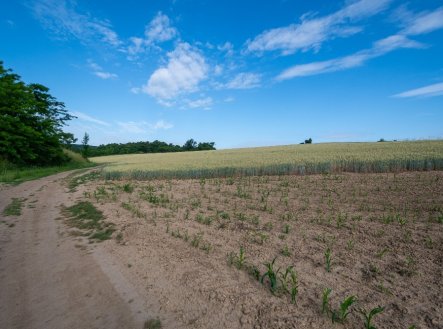 Prodej - pozemek, zemědělská půda, 6 935 m²