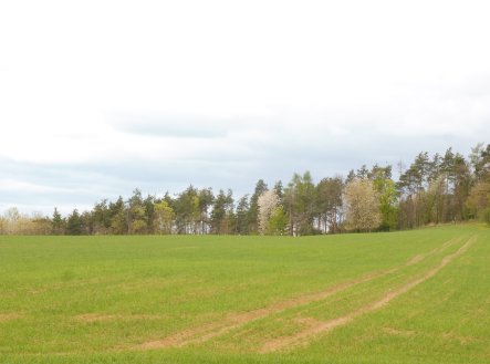Prodej pozemku, ostatní, 13 755 m²