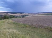 Prodej pozemku, zemědělská půda, 4 541 m²