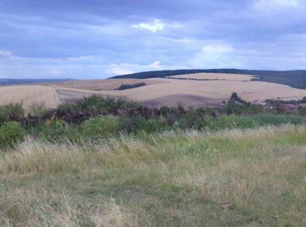 Prodej pozemku, zemědělská půda, 4 541 m²