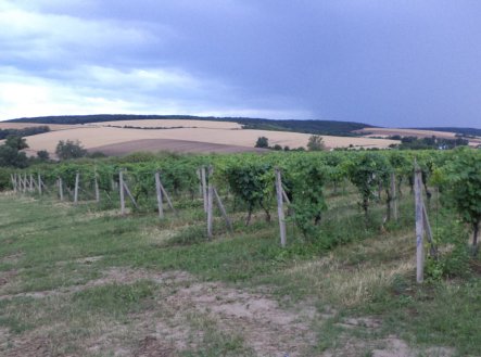 Prodej pozemku, zemědělská půda, 4 541 m²
