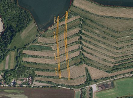 Prodej pozemku, zemědělská půda, 4 541 m²