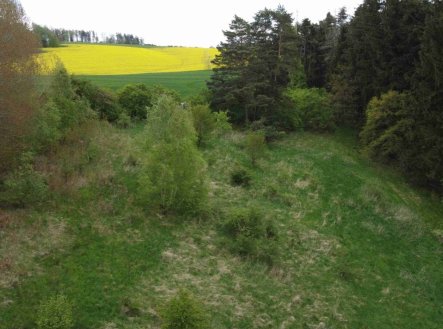 Prodej pozemku, trvalý travní porost, 16 180 m²