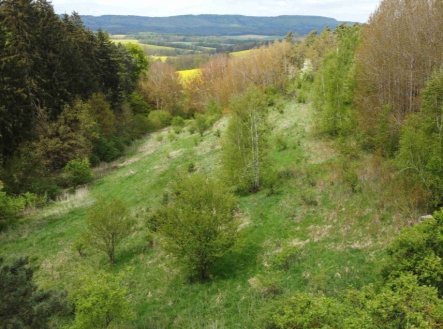 Prodej pozemku, trvalý travní porost, 16 180 m²