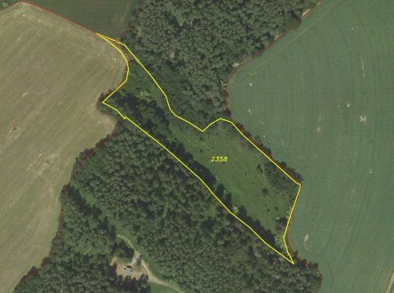 Prodej pozemku, trvalý travní porost, 16 180 m²