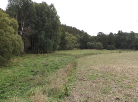 Prodej pozemku, trvalý travní porost, 58 887 m²