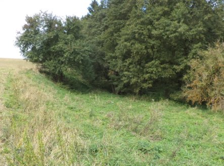 Prodej pozemku, trvalý travní porost, 58 887 m²