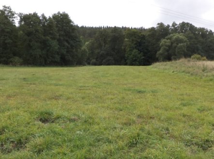 Prodej pozemku, trvalý travní porost, 58 887 m²