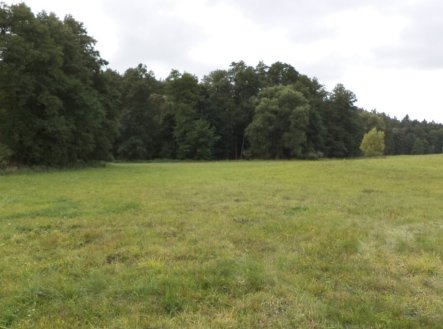 Prodej pozemku, trvalý travní porost, 58 887 m²