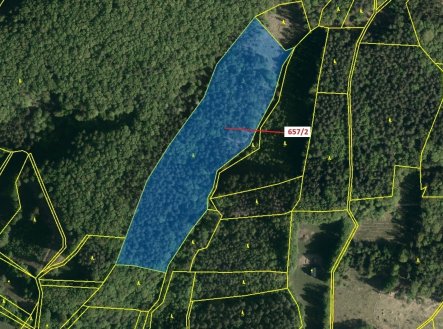 Prodej pozemku, les, 22 874 m²