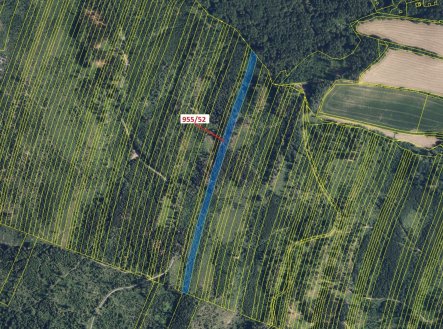 Prodej pozemku, les, 12 014 m²