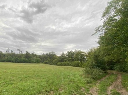 Prodej pozemku, trvalý travní porost, 950 m²
