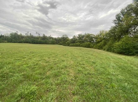 Prodej pozemku, trvalý travní porost, 950 m²