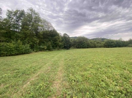Prodej pozemku, trvalý travní porost, 950 m²