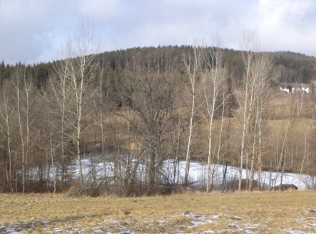 Prodej pozemku, trvalý travní porost, 10 344 m²