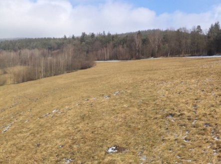 Prodej pozemku, trvalý travní porost, 10 344 m²
