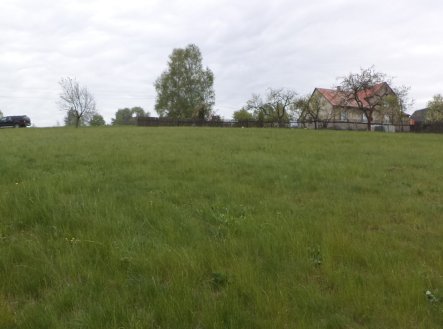 Prodej pozemku, trvalý travní porost, 1 105 m²