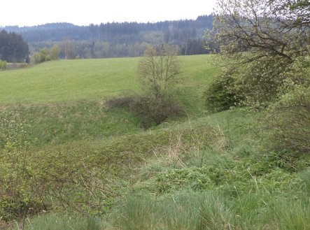Prodej pozemku, trvalý travní porost, 1 105 m²