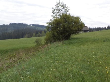 Prodej pozemku, trvalý travní porost, 1 105 m²