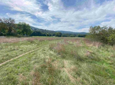 Prodej pozemku, trvalý travní porost, 601 m²