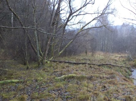 Prodej pozemku, trvalý travní porost, 919 m²