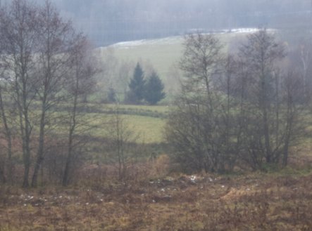 Prodej pozemku, trvalý travní porost, 919 m²