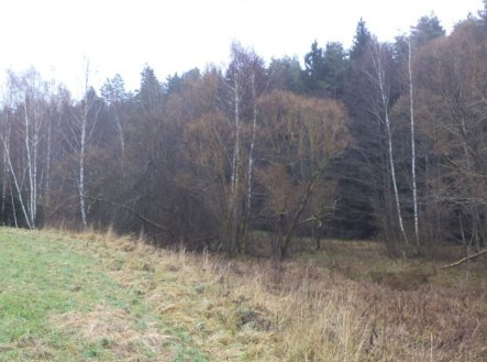 Prodej pozemku, trvalý travní porost, 919 m²