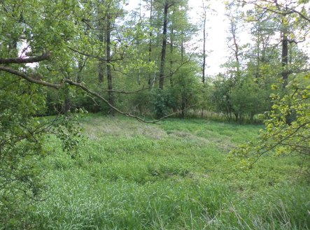 Prodej pozemku, trvalý travní porost, 1 844 m²
