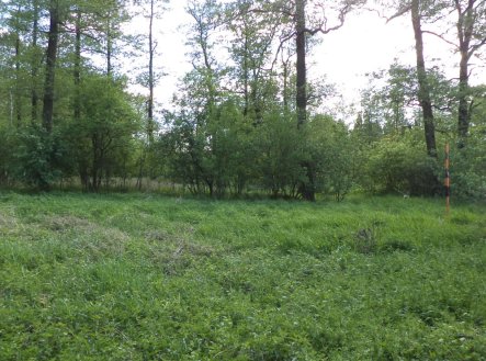 Prodej pozemku, trvalý travní porost, 1 844 m²