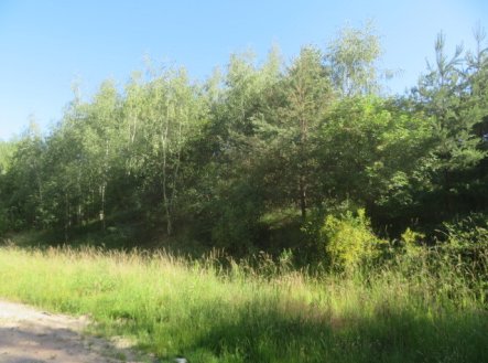 Prodej pozemku, ostatní, 860 m²