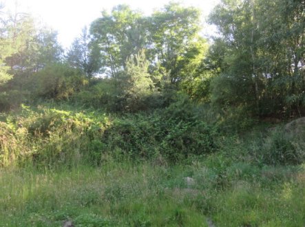 Prodej pozemku, ostatní, 860 m²