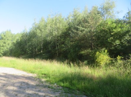 Prodej pozemku, ostatní, 860 m²