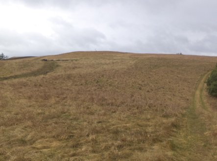 Prodej pozemku, trvalý travní porost, 25 345 m²