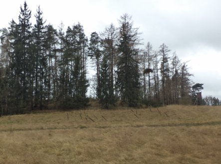 Prodej pozemku, trvalý travní porost, 25 345 m²
