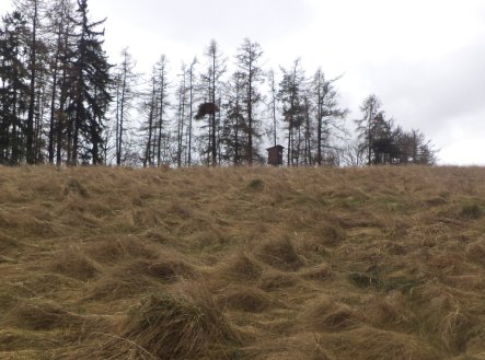 Prodej pozemku, trvalý travní porost, 25 345 m²