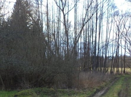 Prodej pozemku, trvalý travní porost, 5 244 m²