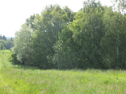 Prodej pozemku, trvalý travní porost, 1 175 m²