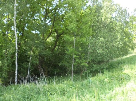 Prodej pozemku, trvalý travní porost, 1 175 m²