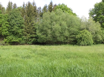 Prodej pozemku, trvalý travní porost, 1 175 m²