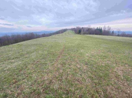Prodej pozemku, trvalý travní porost, 14 714 m²
