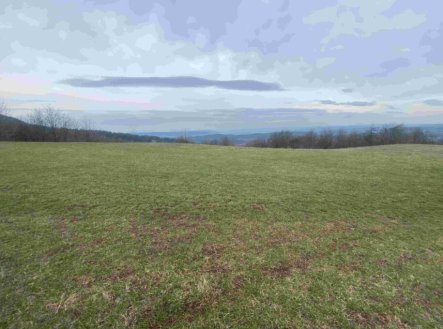 Prodej pozemku, trvalý travní porost, 14 714 m²