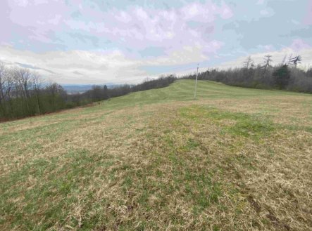Prodej pozemku, trvalý travní porost, 14 714 m²
