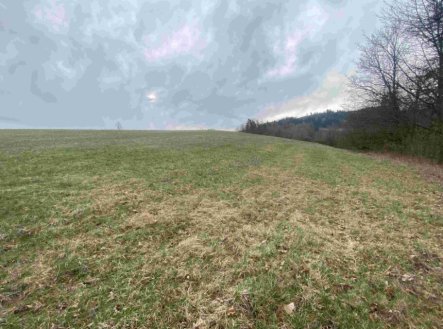 Prodej pozemku, trvalý travní porost, 14 714 m²