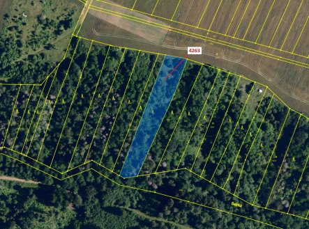 Prodej pozemku, les, 3 481 m²