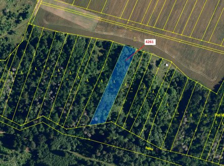 Prodej pozemku, les, 2 729 m²