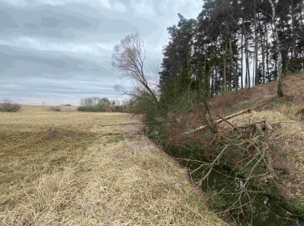 Prodej pozemku, trvalý travní porost, 670 m²