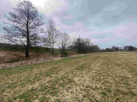 Prodej pozemku, trvalý travní porost, 670 m²