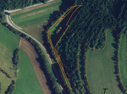 Prodej pozemku, trvalý travní porost, 6 028 m²