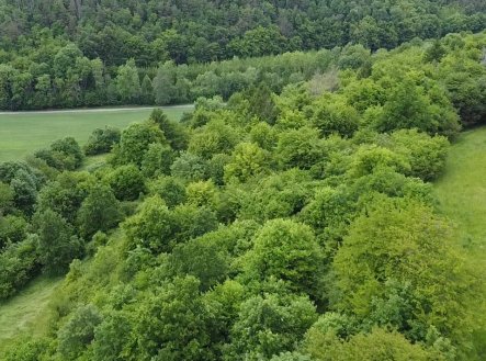 Prodej pozemku, trvalý travní porost, 6 028 m²