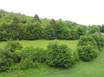 Prodej pozemku, trvalý travní porost, 6 028 m²